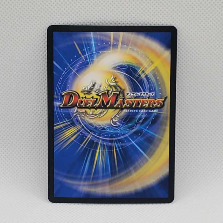 Artel Gorgini SR S3/S8 Management 03