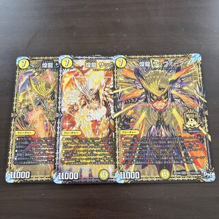 煌龍 サッヴァーク