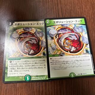 Evolution Egg U 35/55/Y5