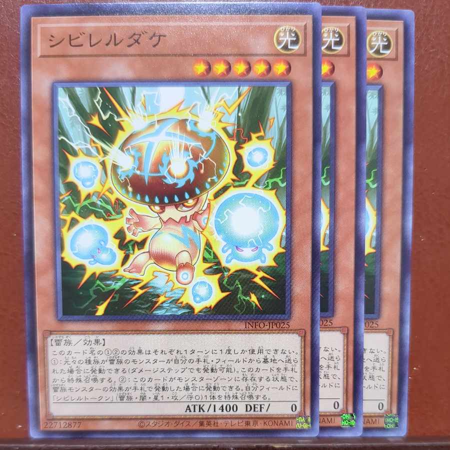 Shibireru Dake Normal INFO-JP025