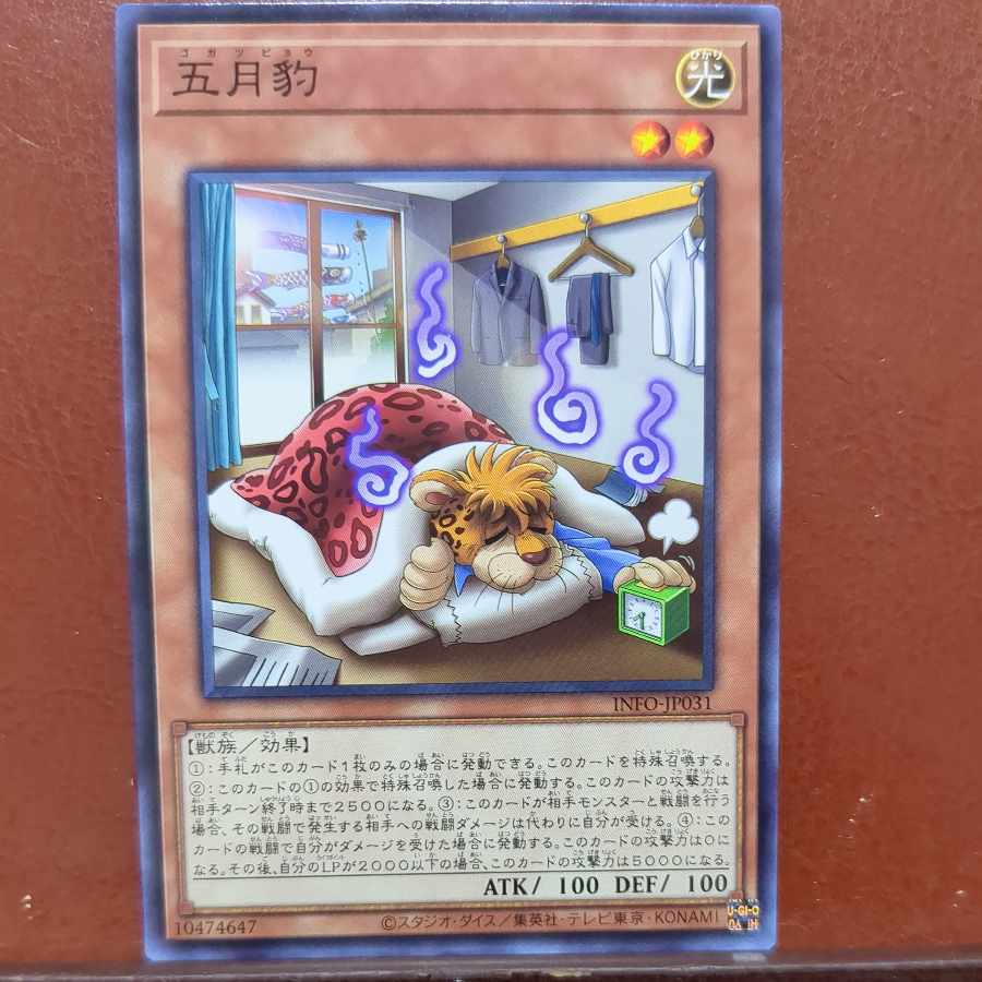 May Leopard Normal rare INFO-JP031