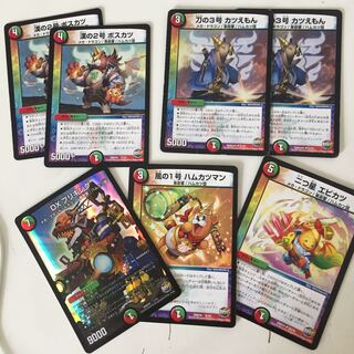 Ham and pork cutlet set