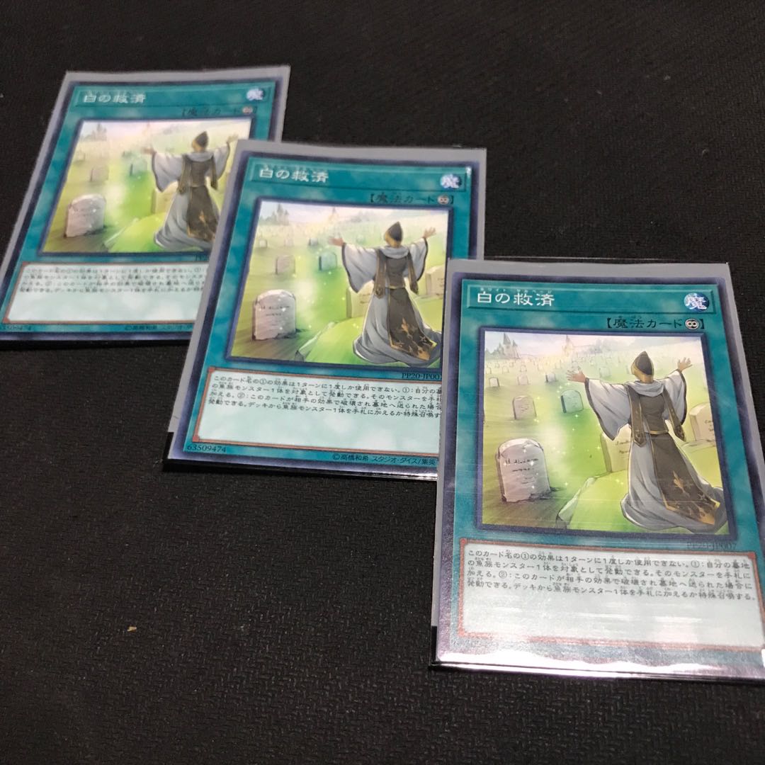 Whitefish Salvage Normal JP007