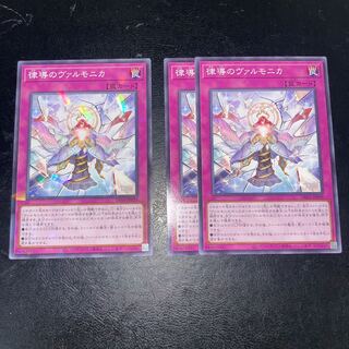 Varmonica of the Rite of Guidance Normal JP039