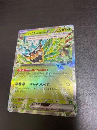 Ogapon Midori-no-men ex RR 016/101