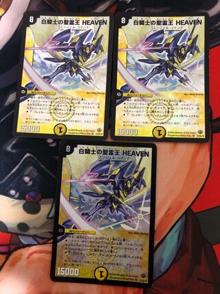 白騎士の聖霊王 HEAVEN SR S1/S5/Y8