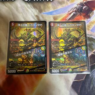 Summit Seal Parakin 8th｜"There's a demon in the house. ......" VR 37/112