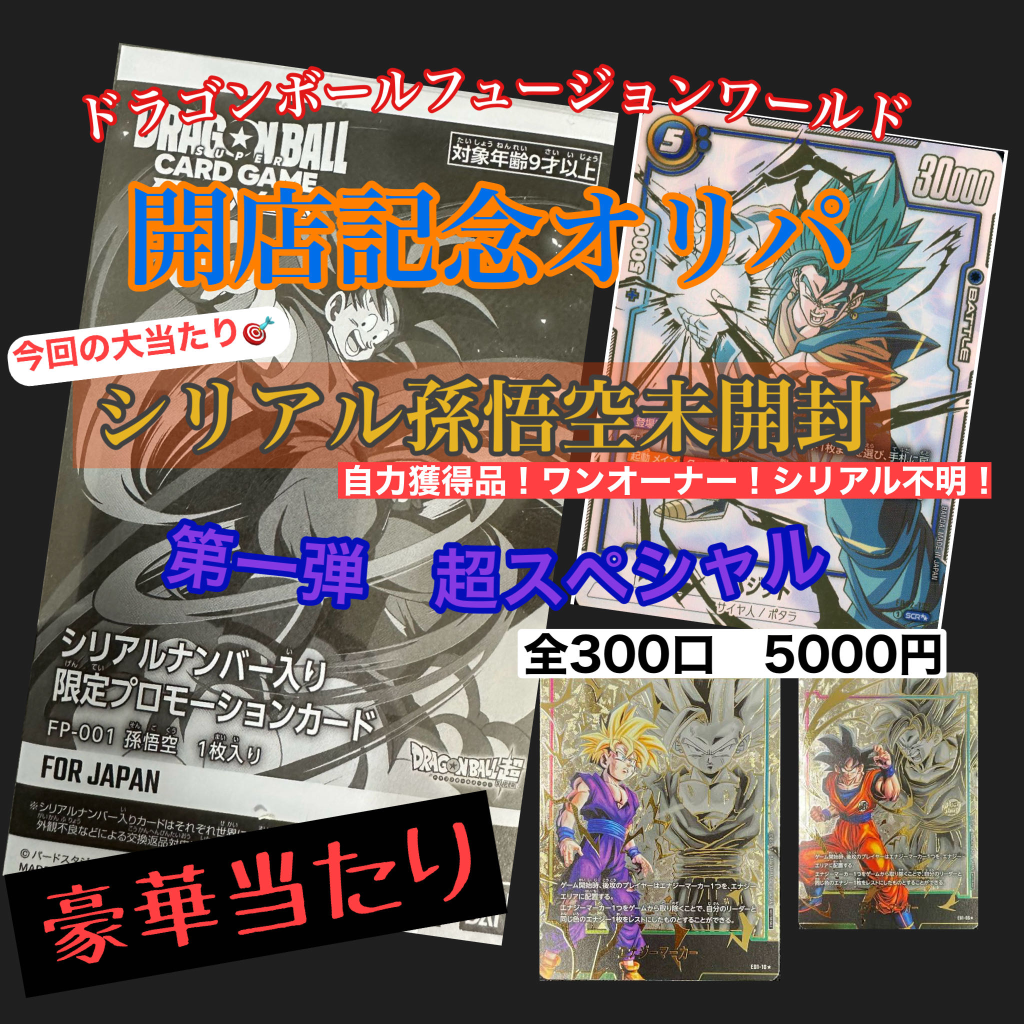 高橋広樹 ドラゴンボール ドラゴンボールカードダス ビジュアル