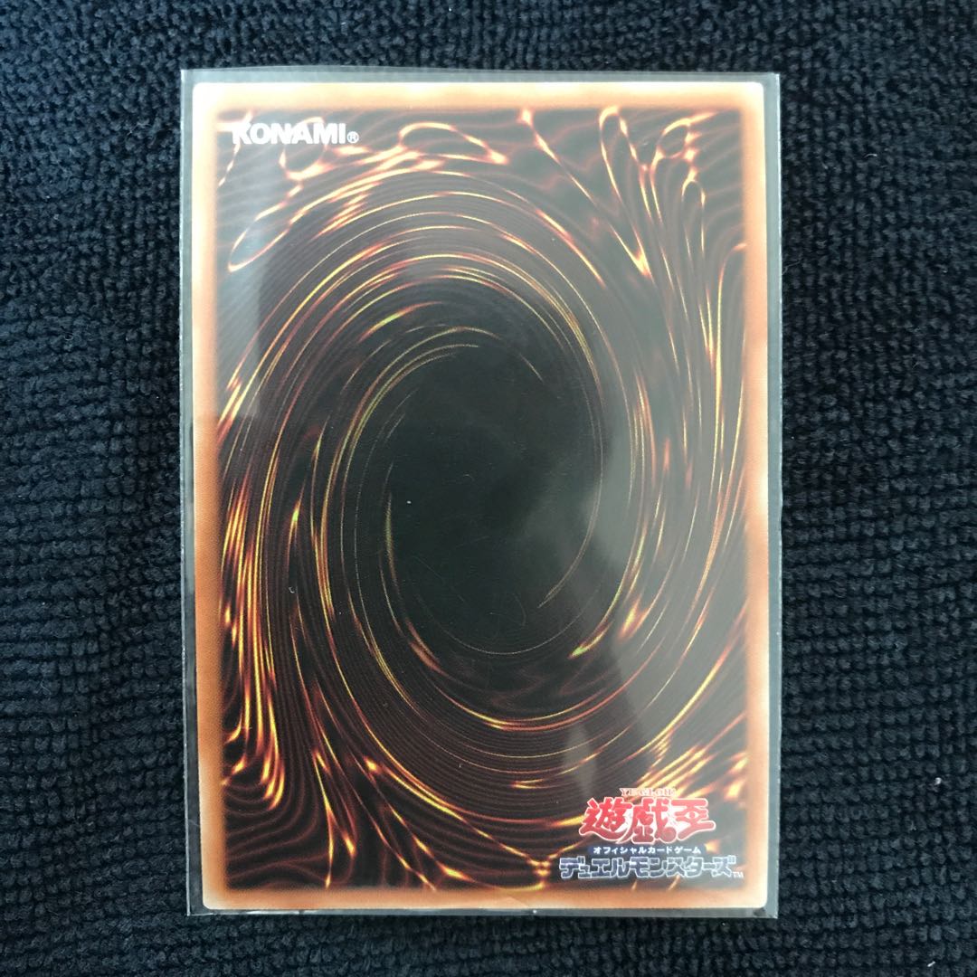 混沌魔龍 カオス・ルーラー HR