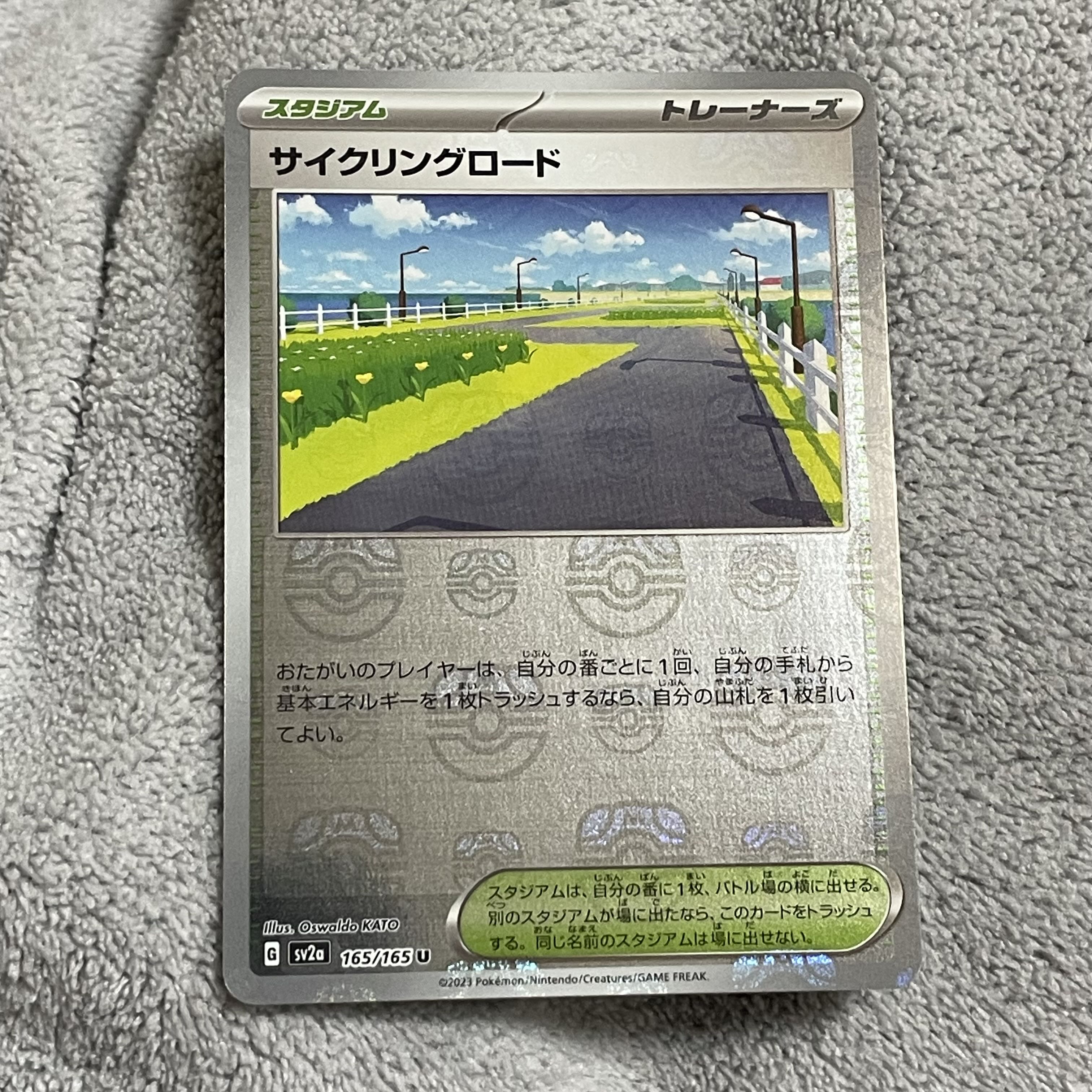 Cycling road (Master Ball pattern/mirror spec.) U 165/165
