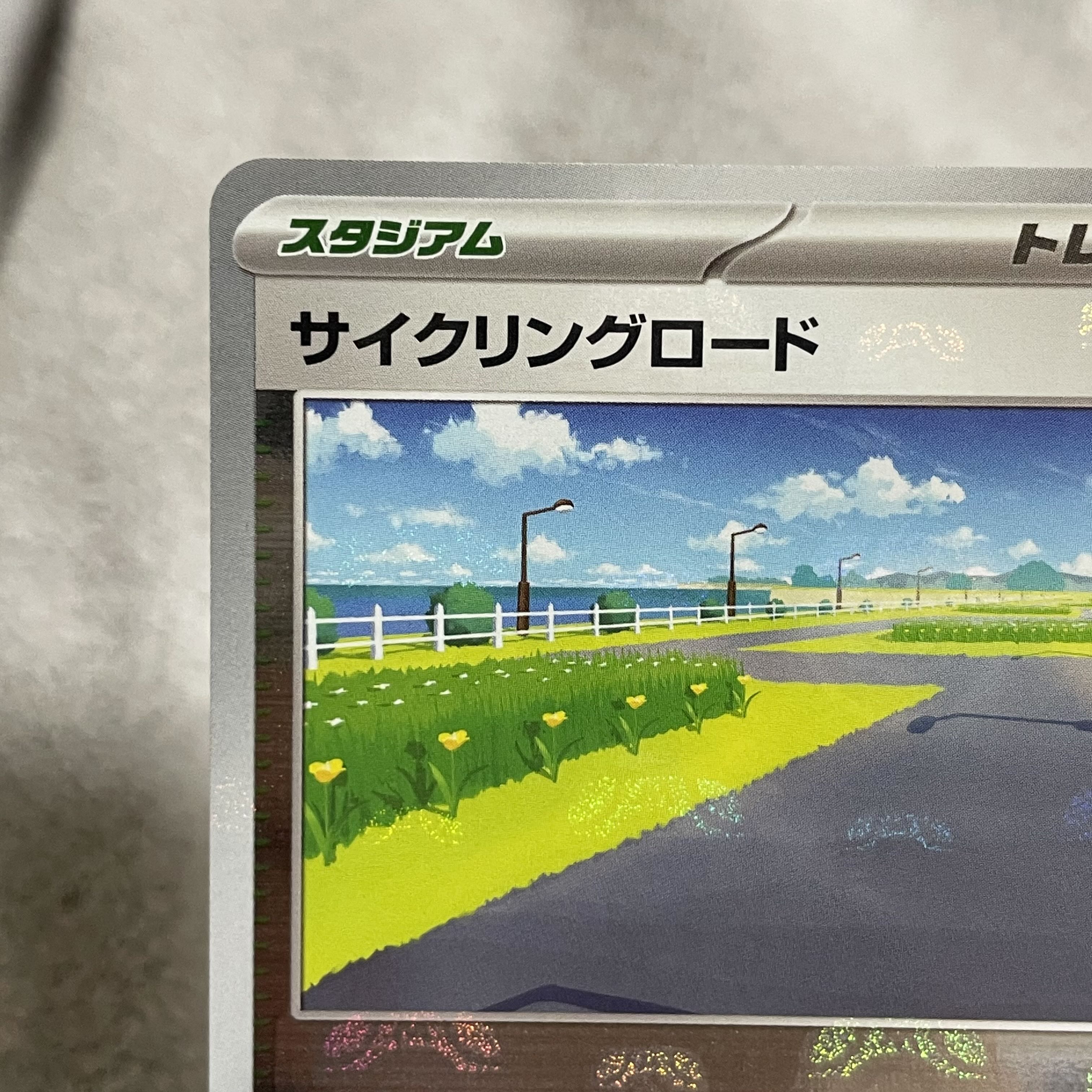 Cycling road (Master Ball pattern/mirror spec.) U 165/165