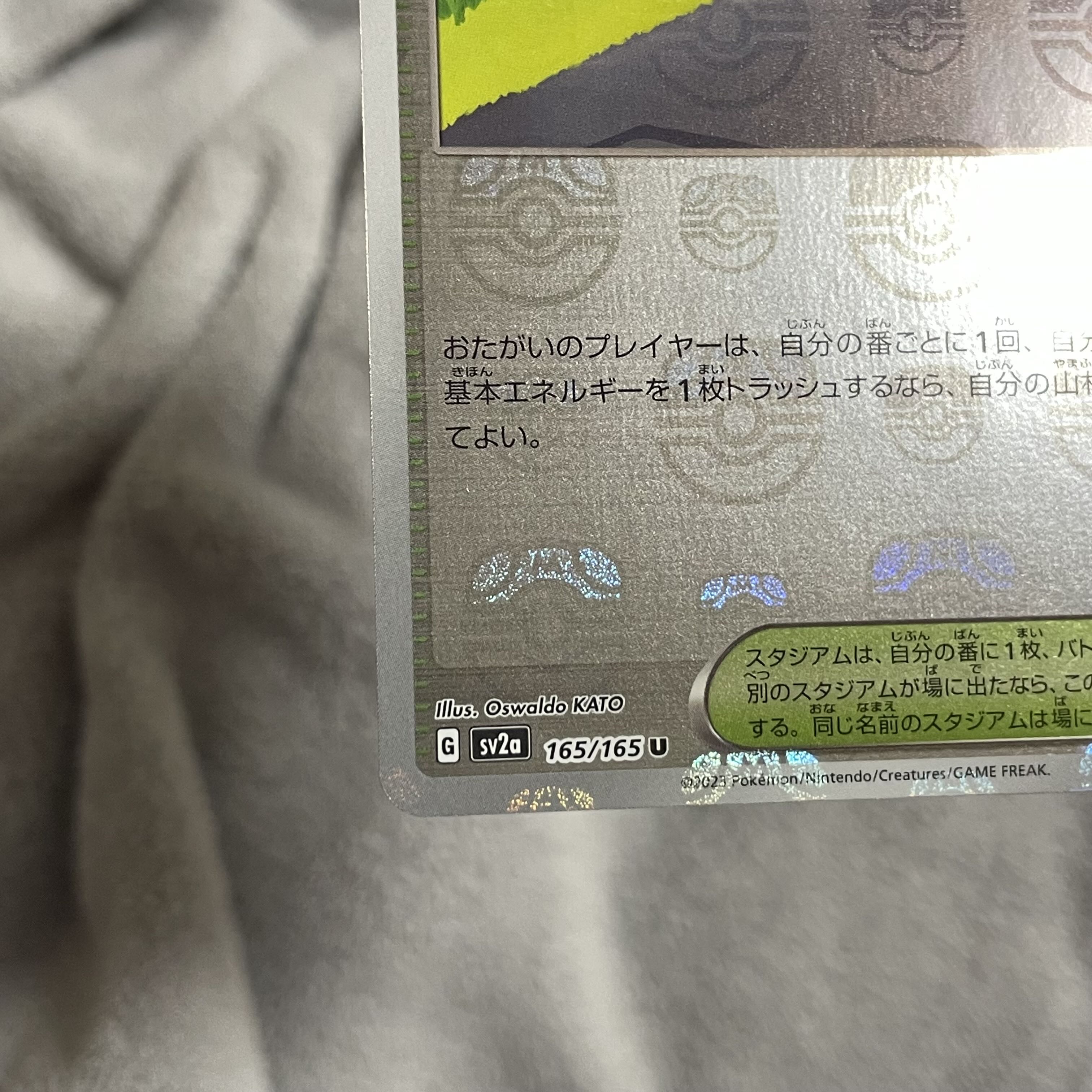 Cycling road (Master Ball pattern/mirror spec.) U 165/165