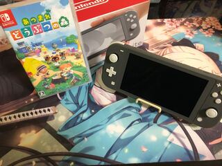 【特価】Switch lite ＆ あつまれどうぶつの森セット