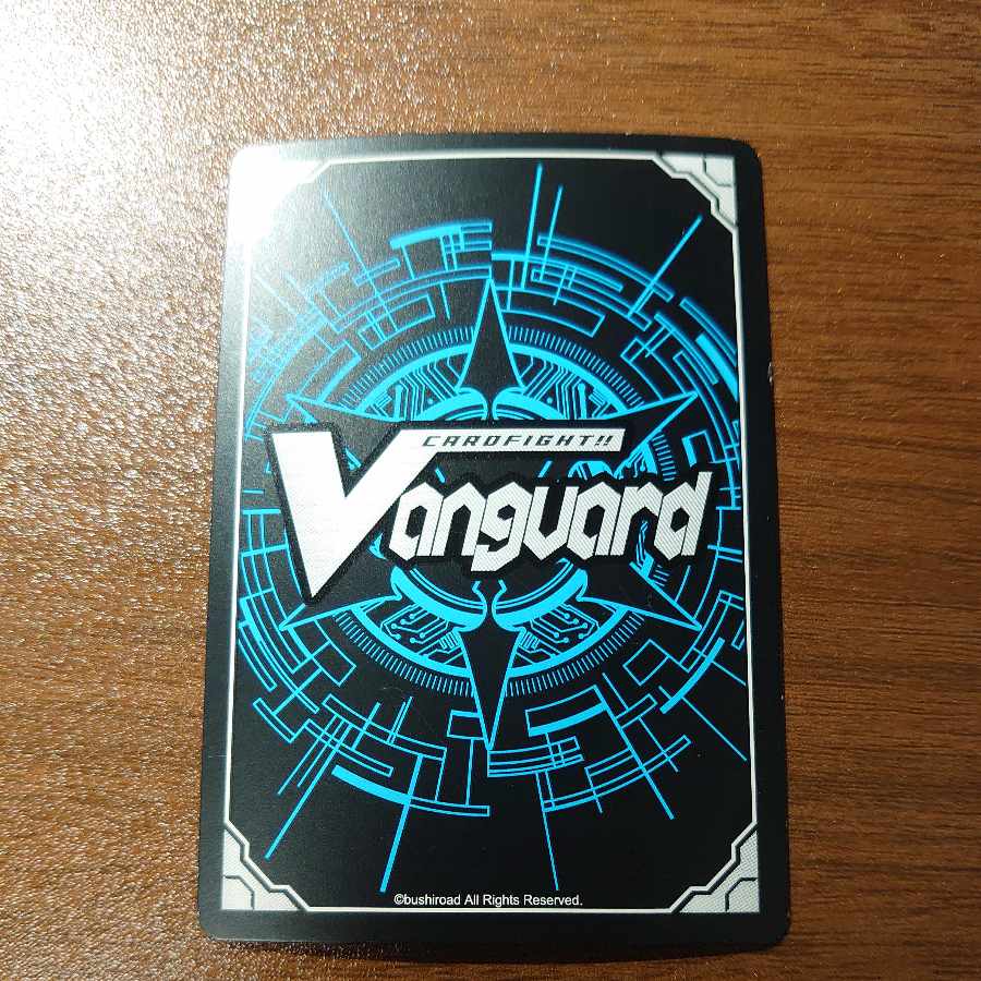 Skydiver SP BT02/S01