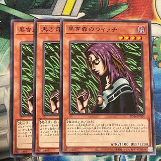 Witch of the Black Forest 3