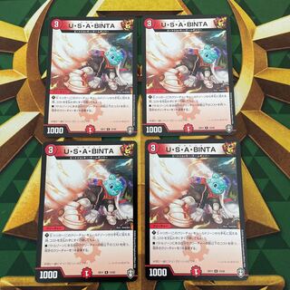 U・S・A・BINTA R 13/42