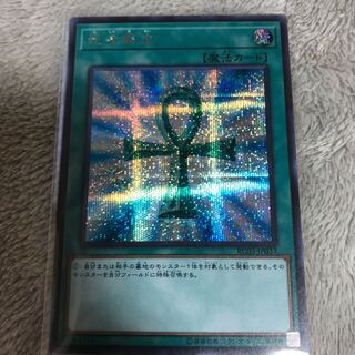 マドレース 死者蘇生