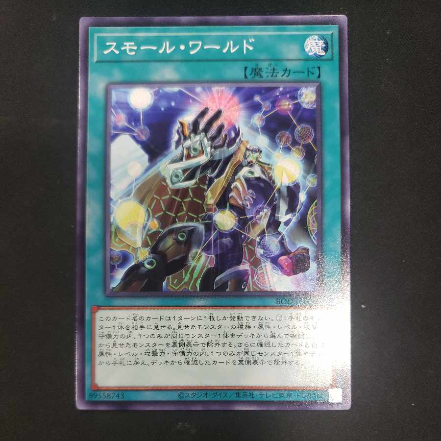 Small World Normal rare JP069