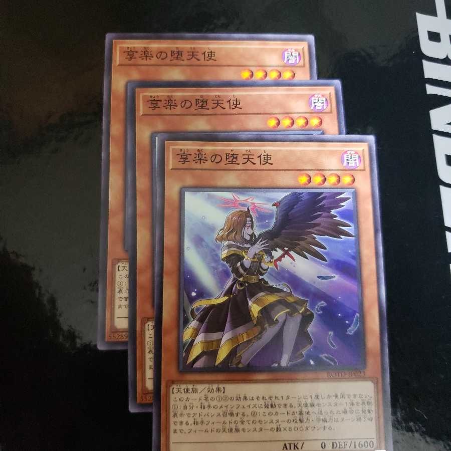 享楽の堕天使 N