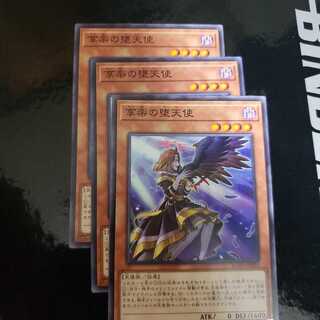 享楽の堕天使 N