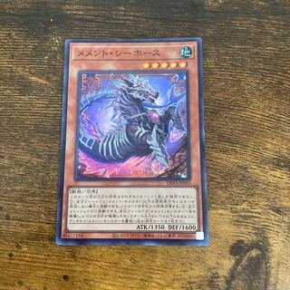 Memento Seahorse Super Rare JP003