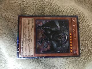 マドレース ダーク・シムルグ