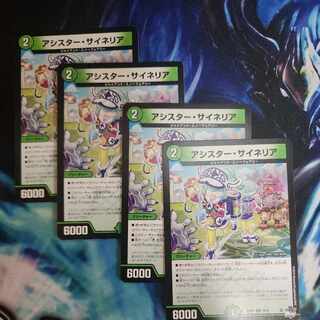 アシスター・サイネリア C 73/74