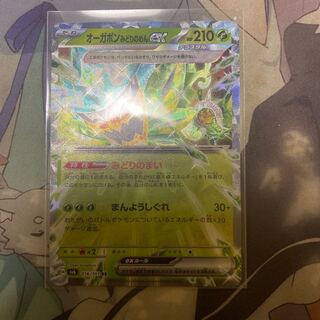 Ogapon Midori-no-men ex RR 016/101