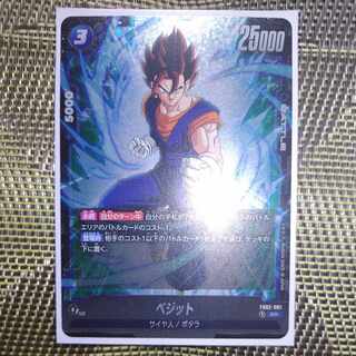 ベジット SR FB02-061