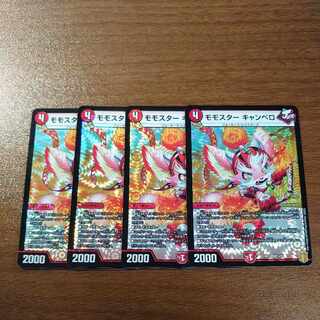 Momostar Canberra VR 5/95