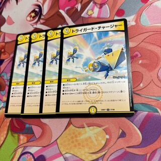 Triguard Charger R 27/60