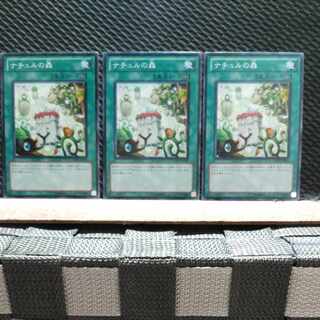Popotan] Yu-Gi-Oh! 5364 Naturia Forest 3 Normal
