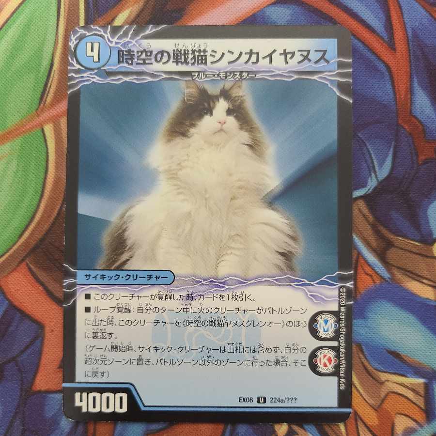 Space-Time War Cat Shinkaianus|Space-Time War Cat Janus Glen-O U 224a/???? |U 224b/?????