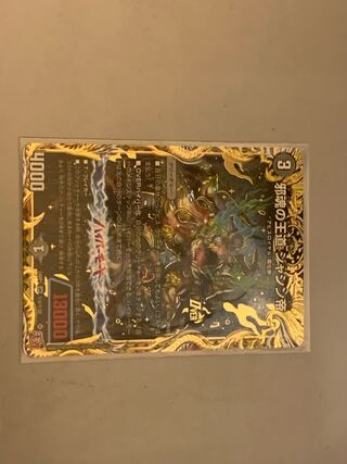 邪魂の王道 ジャシン帝(シークレットレア仕様) SE (秘)2/(秘)22 1枚