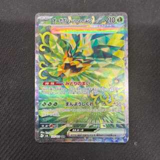 Augapon Midori-no-men ex SAR