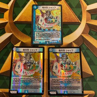 Kitanetsu Schaff VR 5/18