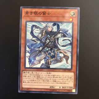 青き眼の賢士 P-N