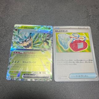 Ogapon Midori-no-men ex RR 016/101