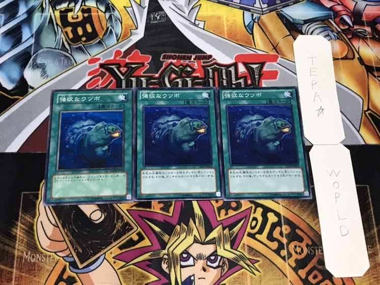 強欲なウツボ ノーマル 3枚セット てら