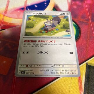 ホシガリス C 061/078