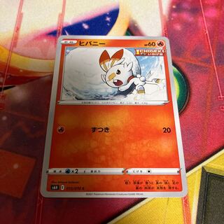 ヒバニー C 015/070