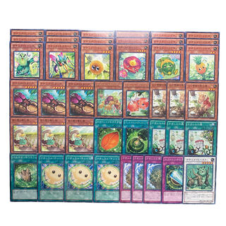 3529【遊戯王】ナチュル　デッキパーツ　まとめ売り