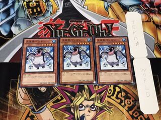 大皇帝ペンギン ノーマル 3枚セット てら