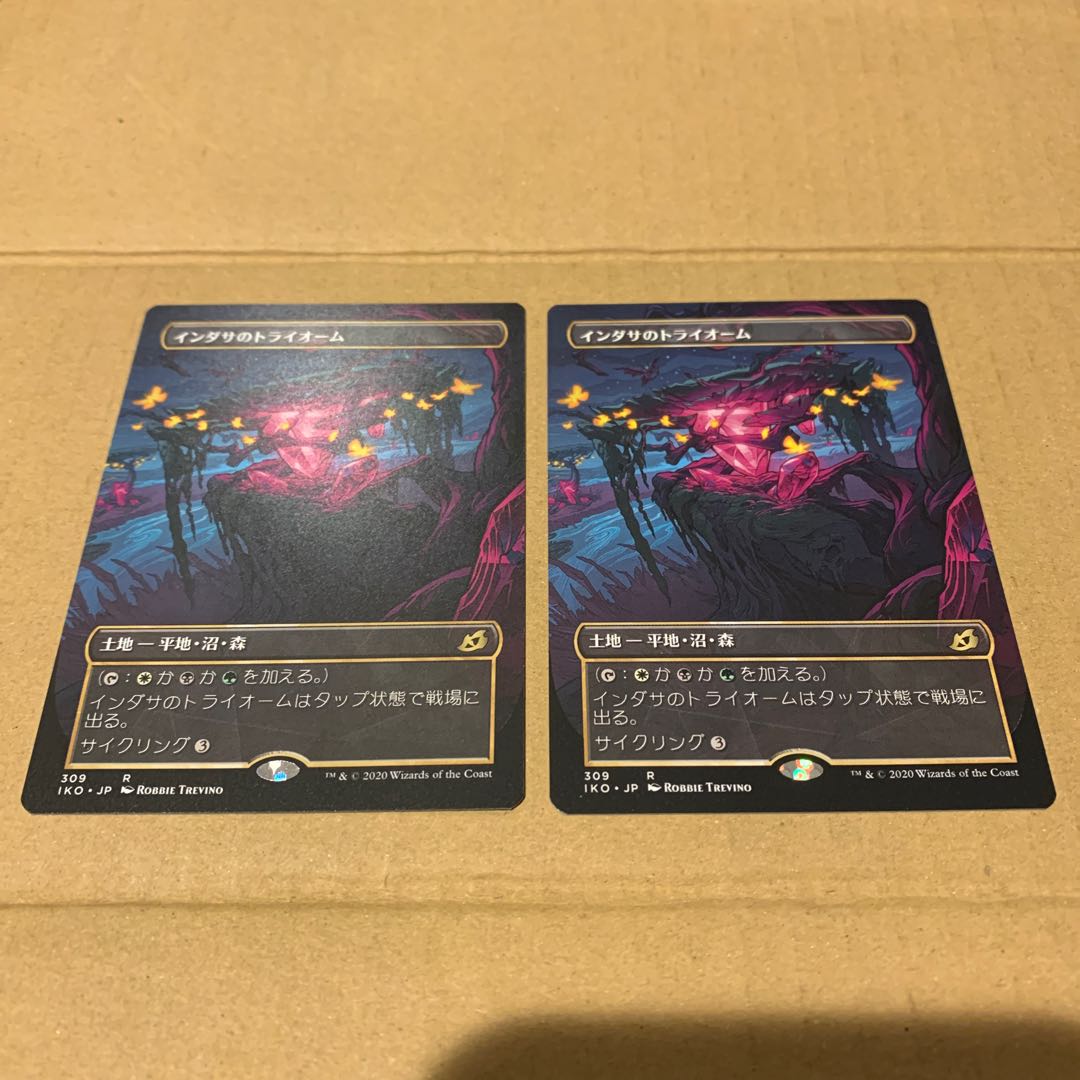 インダサのトライオーム2枚