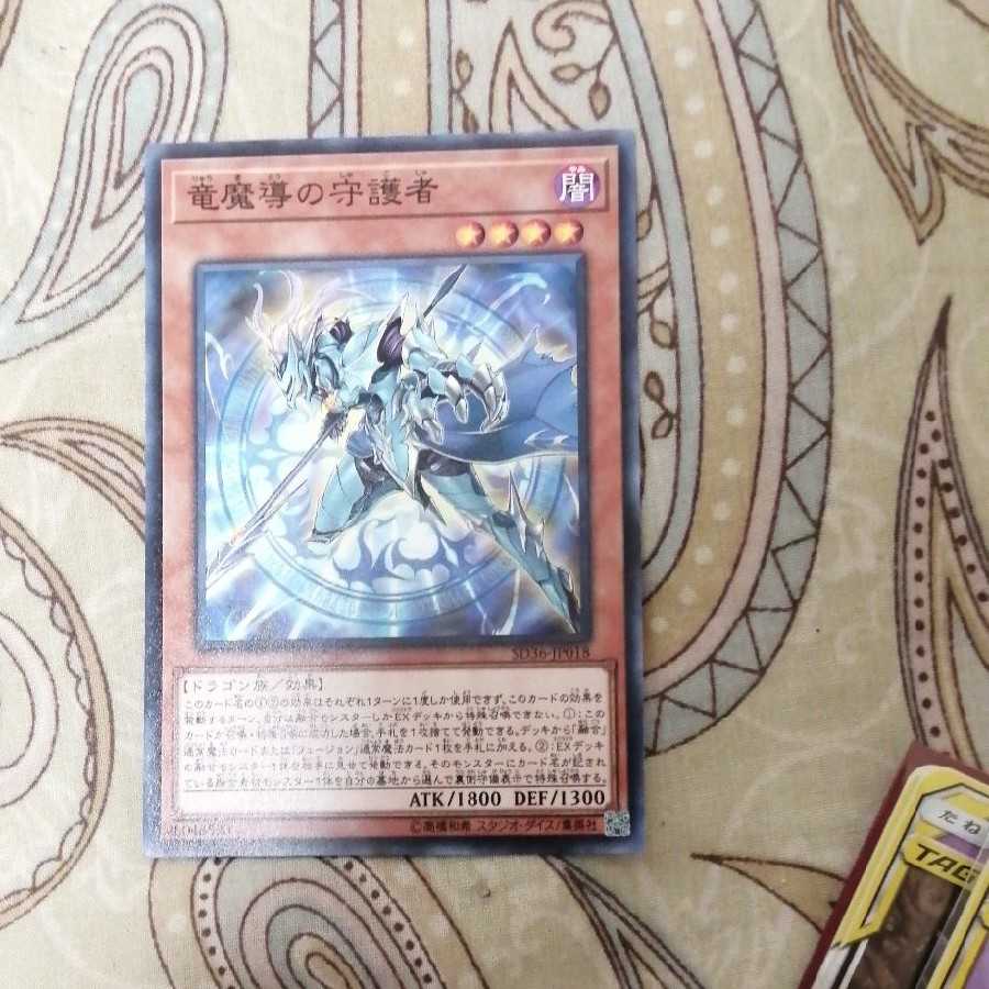 竜魔導の守護者 N