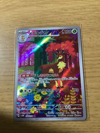 メブキジカ R」の激安通販 | magi