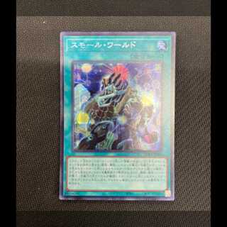 Small World Secret 1 piece