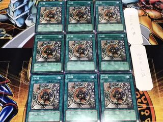 収縮 ノーマル 9枚セット てら