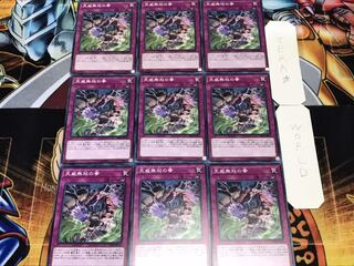 天威無双の拳 ノーマル 9枚セット てら