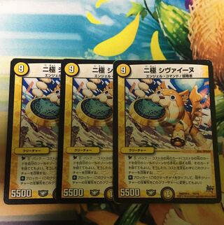 Bipolar Shiveenu 18/19